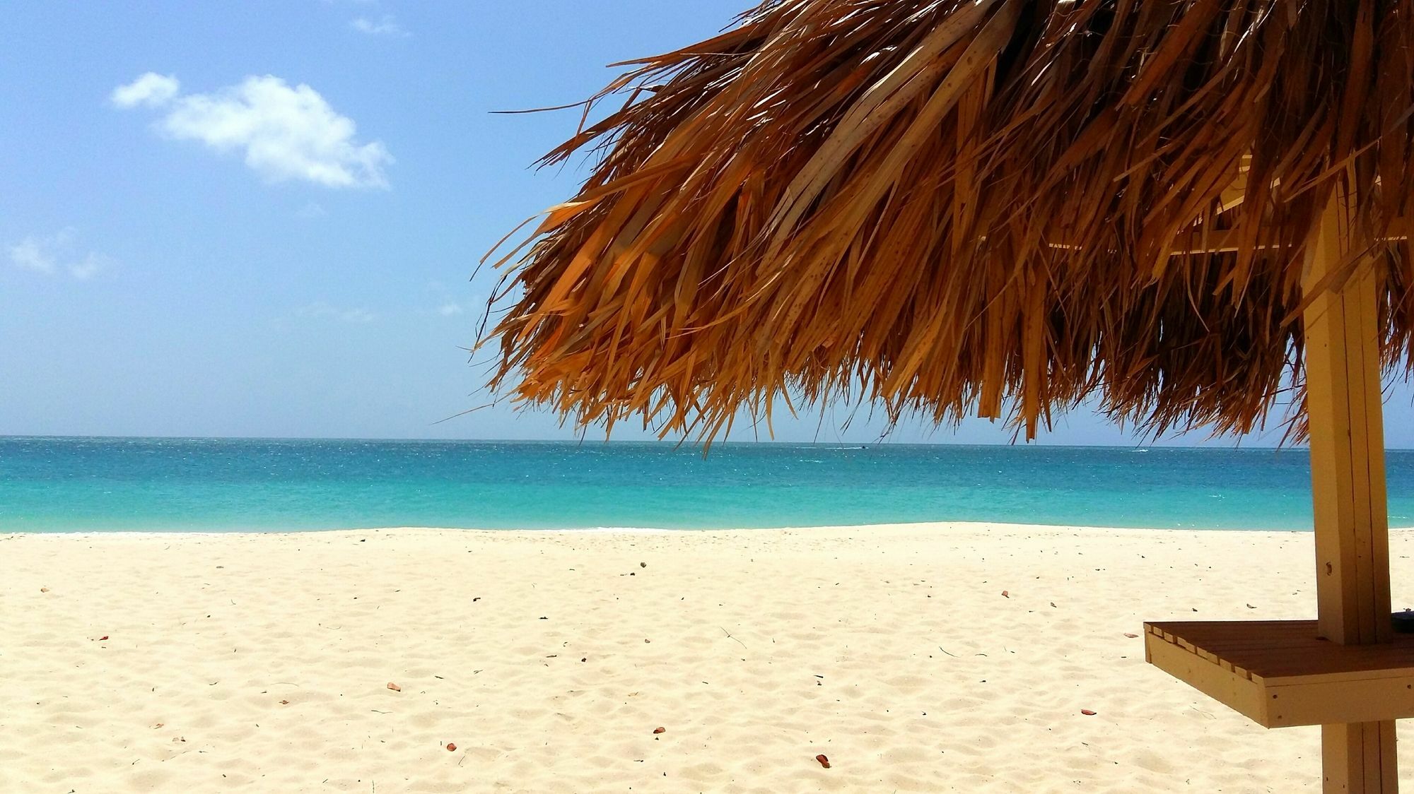 Dorado Eagle Beach Hotel Oranjestad Ngoại thất bức ảnh